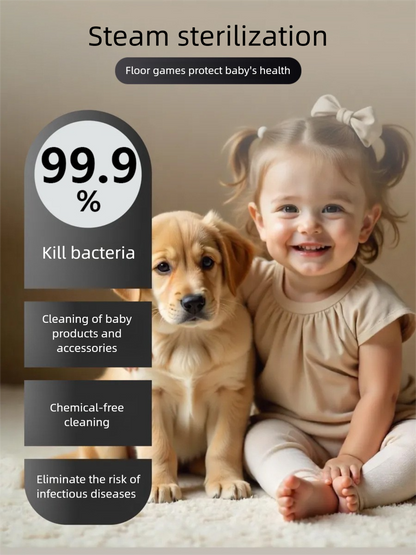 Home Use Multi Functional High Temperature Steam Sterilizing Carpet and Fabric Cleaner for Sofa Curtain