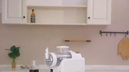 Home Snow Melter Ice Cream Slush Machine 